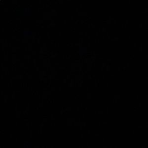 Meet your Posher, Conrick